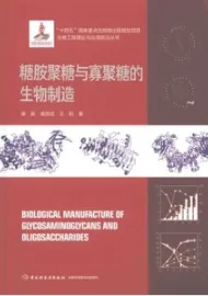 糖胺聚糖与寡聚糖的生物制造