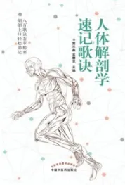 人体解剖学速记歌诀