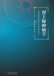肾上腺肿瘤学