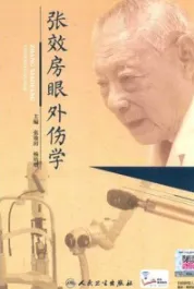 张效房眼外伤学