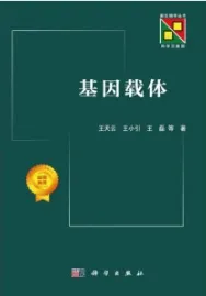 基因载体