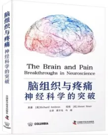 脑组织与疼痛 神经科学的突破