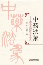 中药法象