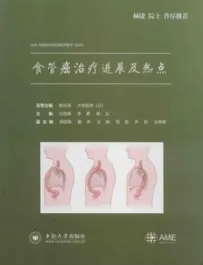 食管癌治疗进展及热点