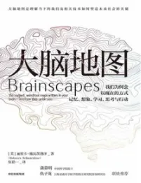 大脑地图