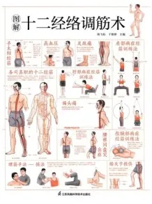 图解十二经络调筋术