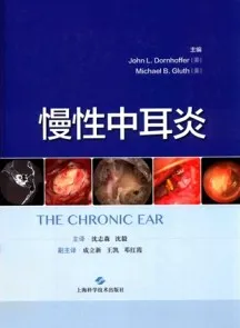慢性中耳炎