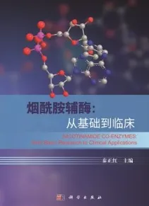 烟酰胺辅酶 从基础到临床