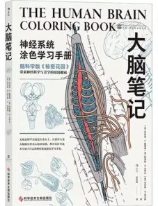 大脑笔记