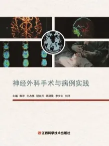 神经外科手术与病例实践