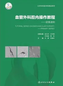 血管外科腔内操作教程 初级进阶