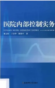 医院内部控制实务