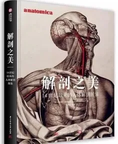 解剖之美 14世纪以来的人体解剖图鉴