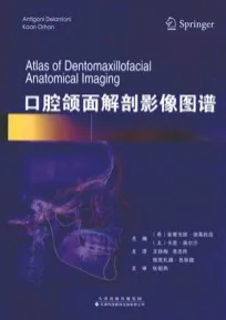 口腔颌面解剖影像图谱