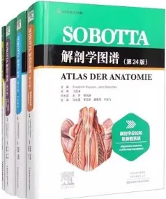 Sobotta解剖学图谱 第24版（共4册）