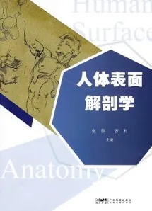 人体表面解剖学