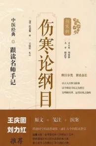 中医经典跟读名师手记 伤寒论纲目