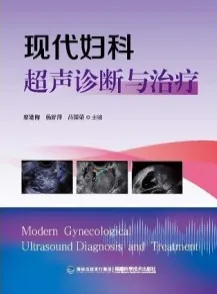 现代妇科超声诊断与治疗