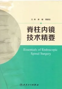 脊柱内镜技术精要