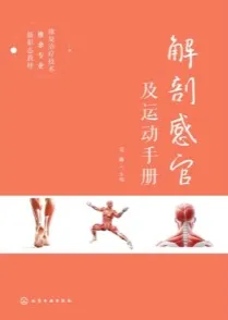 解剖感官及运动手册