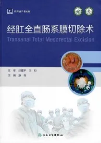 经肛全直肠系膜切除术