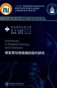 骨发育与骨疾病的现代研究