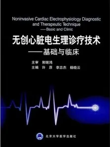 无创心脏电生理诊疗技术 基础与临床