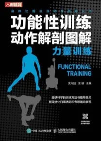 功能性训练动作解剖图解 力量训练