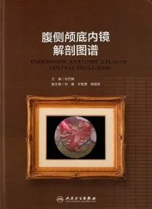腹侧颅底内镜解剖图谱