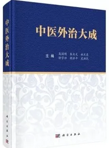 中医外治大成