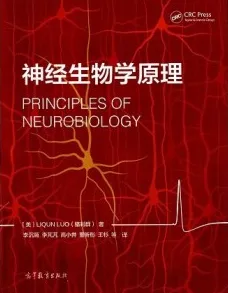 神经生物学原理