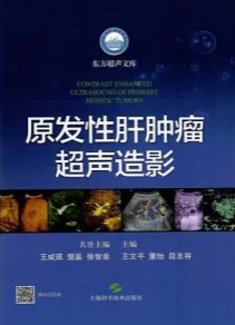 原发性肝肿瘤超声造影