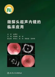 微探头超声内镜的临床应用