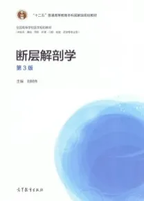 断层解剖学 第3版