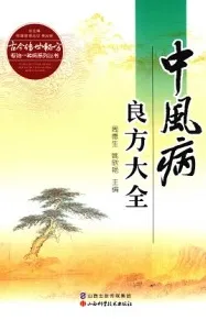 中风病良方大全