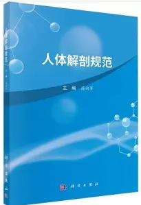 人体解剖规范