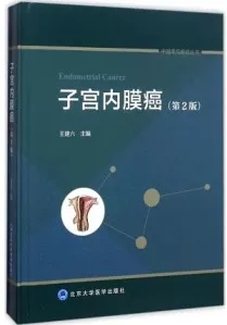子宫内膜癌 第2版 中国常见癌症丛书