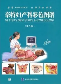 奈特妇产科彩色图谱 第3版
