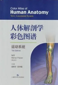 人体解剖学彩色图谱 运动系统 第7版