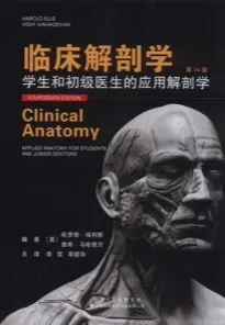 临床解剖学 学生和初级医生的应用解剖学 第14版