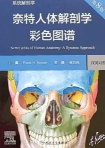 奈特人体解剖学彩色图谱 系统解剖学 第8版