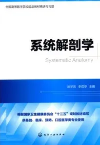 全国高等医学院校规划教材精讲与习题 系统解剖学