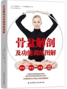 骨盆解剖及功能训练图解