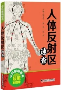 人体反射区速查