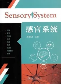 感官系统