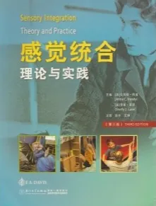 感觉统合 理论与实践 第3版