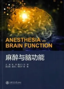 麻醉与脑功能