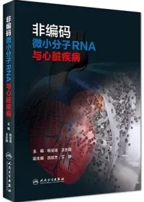 非编码微小分子RNA与心脏疾病