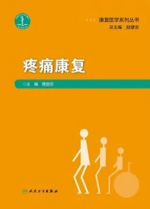 疼痛康复 康复医学系列丛书