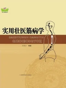 实用壮医筋病学